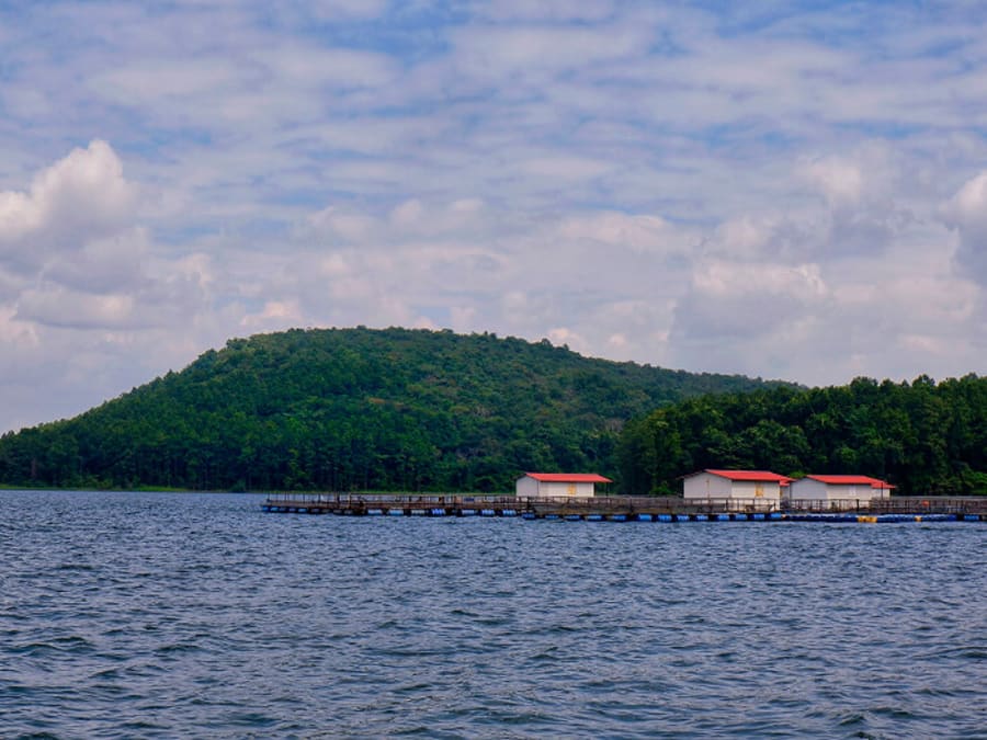 Image 3 of Chandil Dam