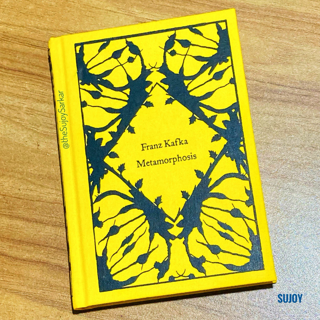 The Metamorphosis by Franz Kafka