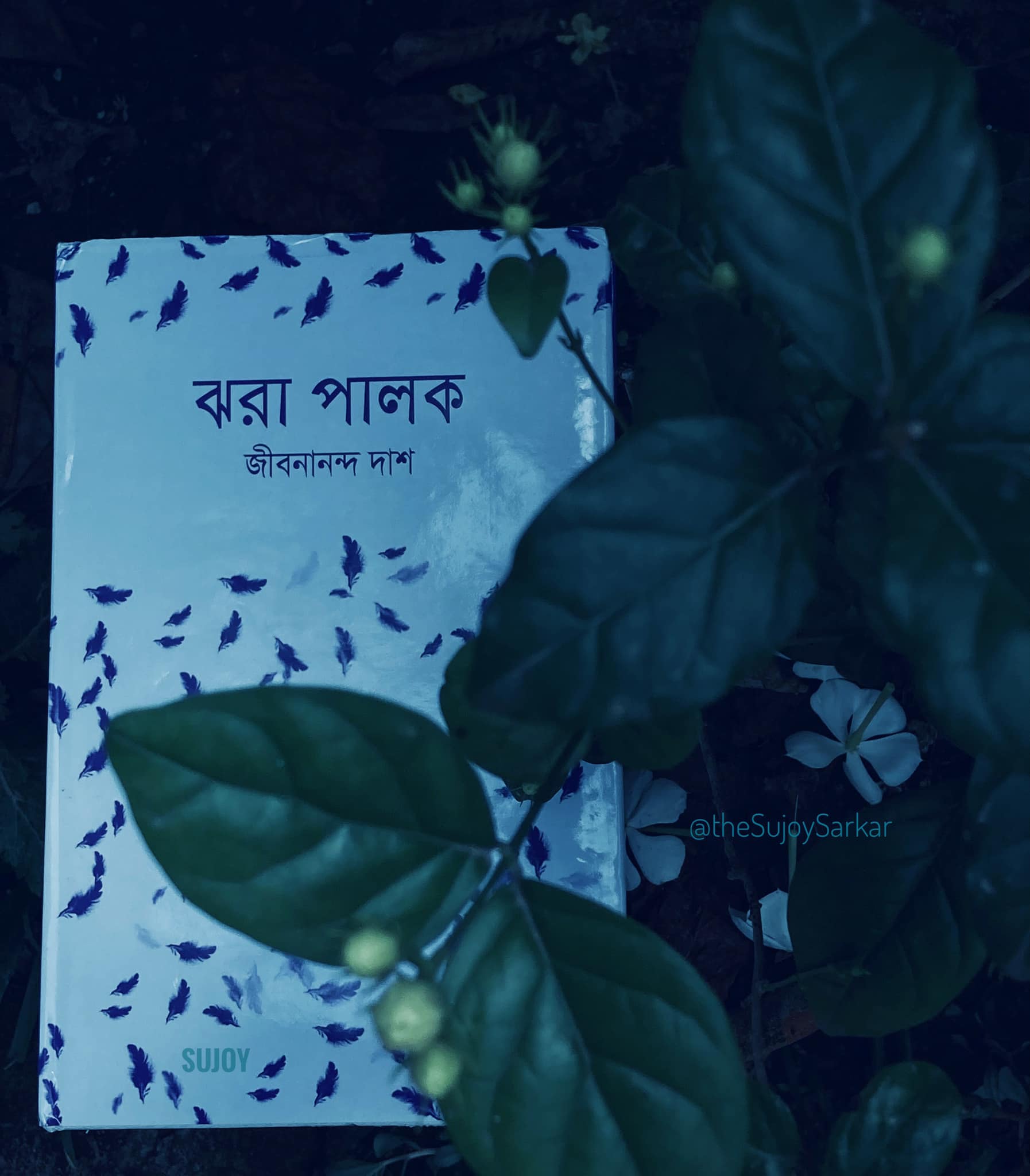 ঝরা পালক by জীবনানন্দ দাশ