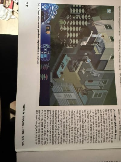 Original printed screenshot of a burglar walking through a Sims house at night.