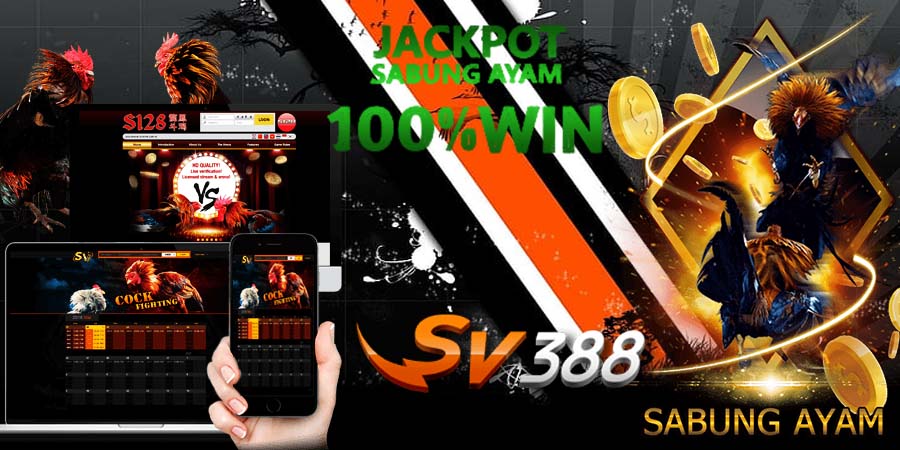 Sv388 Link Agen Situs Judi Online Sabung Ayam Sv388 Terpercaya Sv388 Link Agen Situs Judi Online Sabung Ayam Sv388 Terpercaya