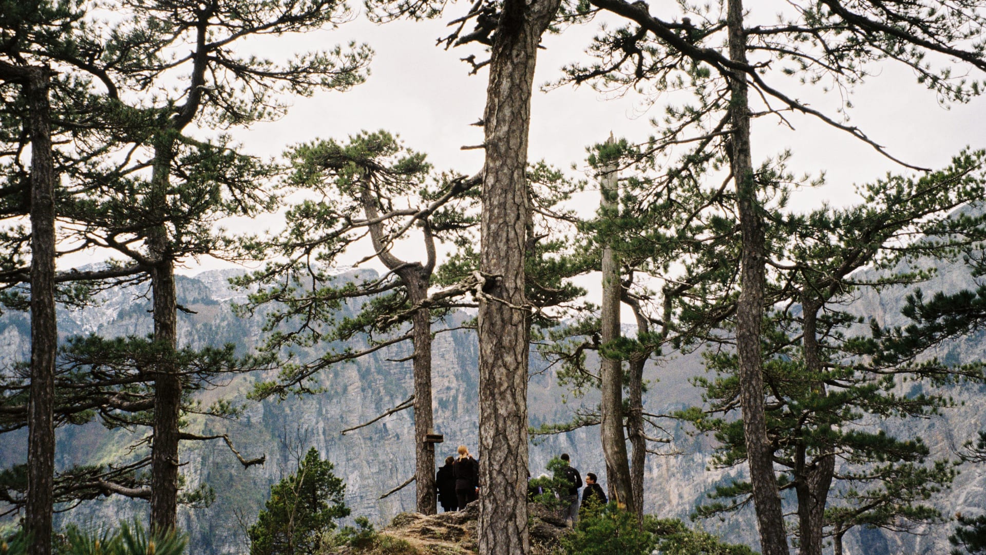 Exploring moments where nature leads