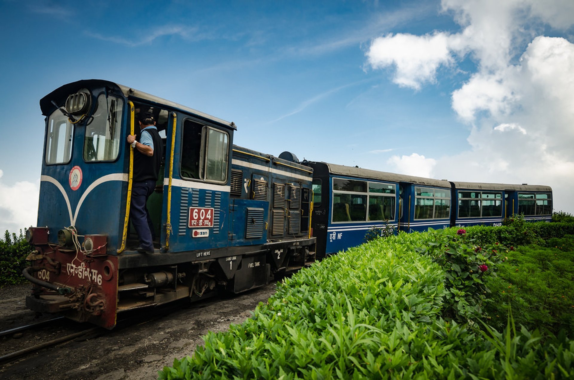 Darjeeling Himalayan Railway in Darjeeling, India Day Tripe with