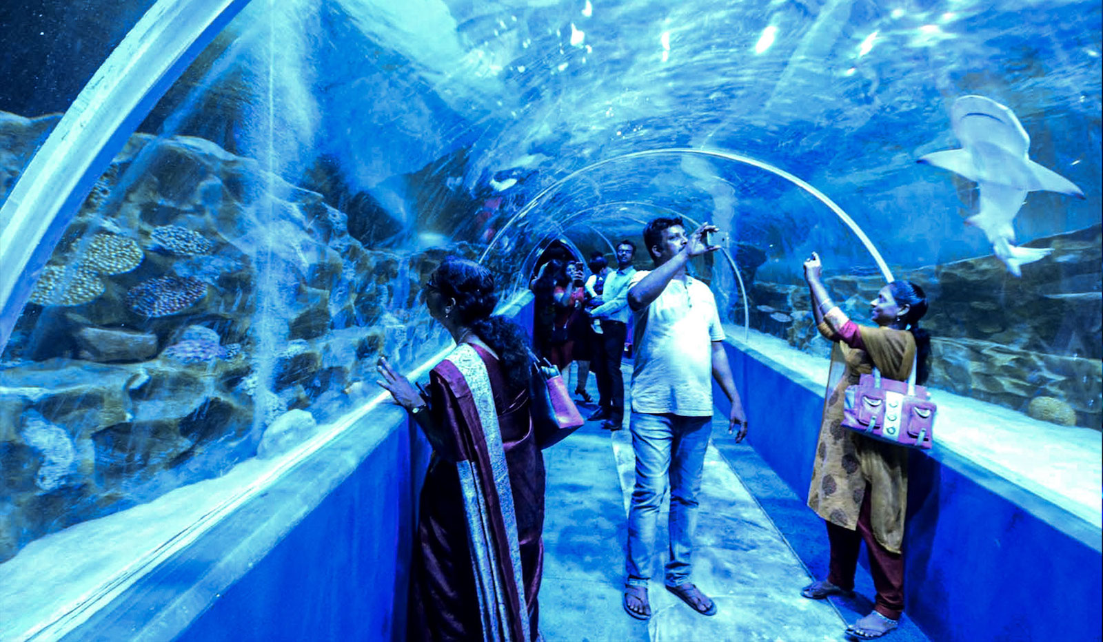 Marine world CISOMarine World India’s Largest Public Aquarium in