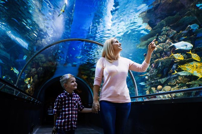 Aquaria KLCC in Kuala Lumpur, Malaysia | Day Tripe with Sunleisureworld