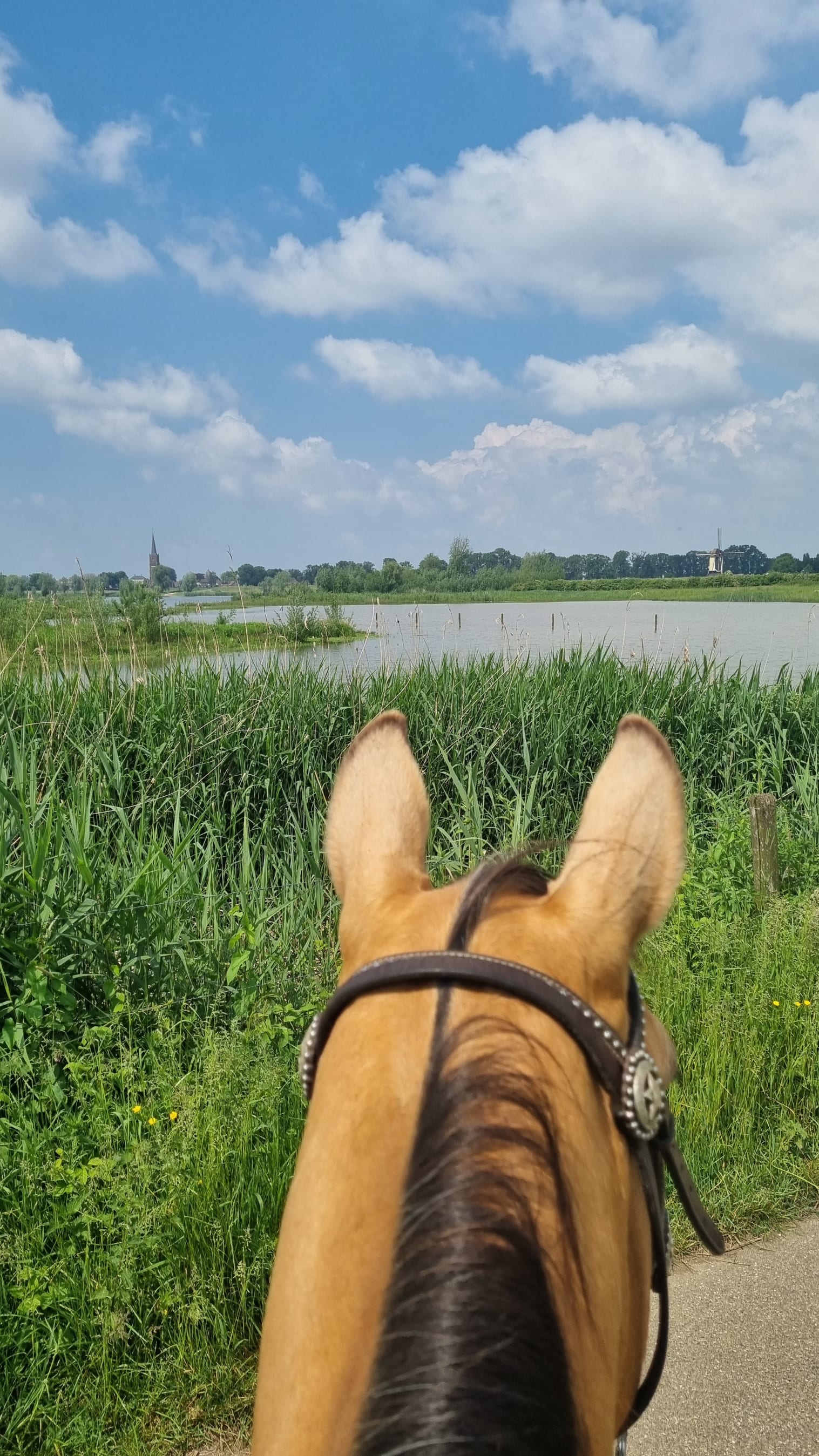 Buitenrit over de Liendense uiterwaarden