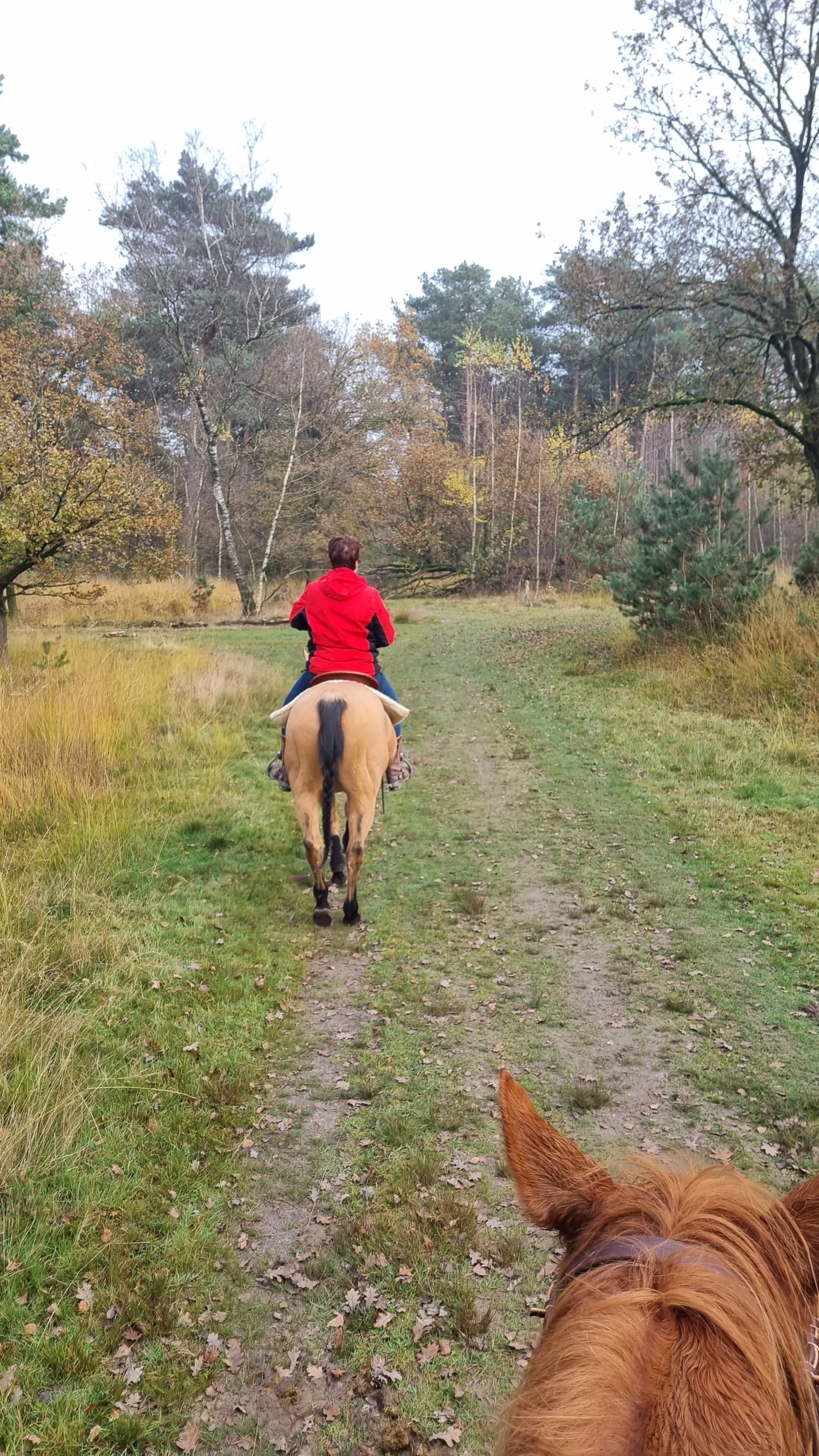 Buitenrit in herperduin