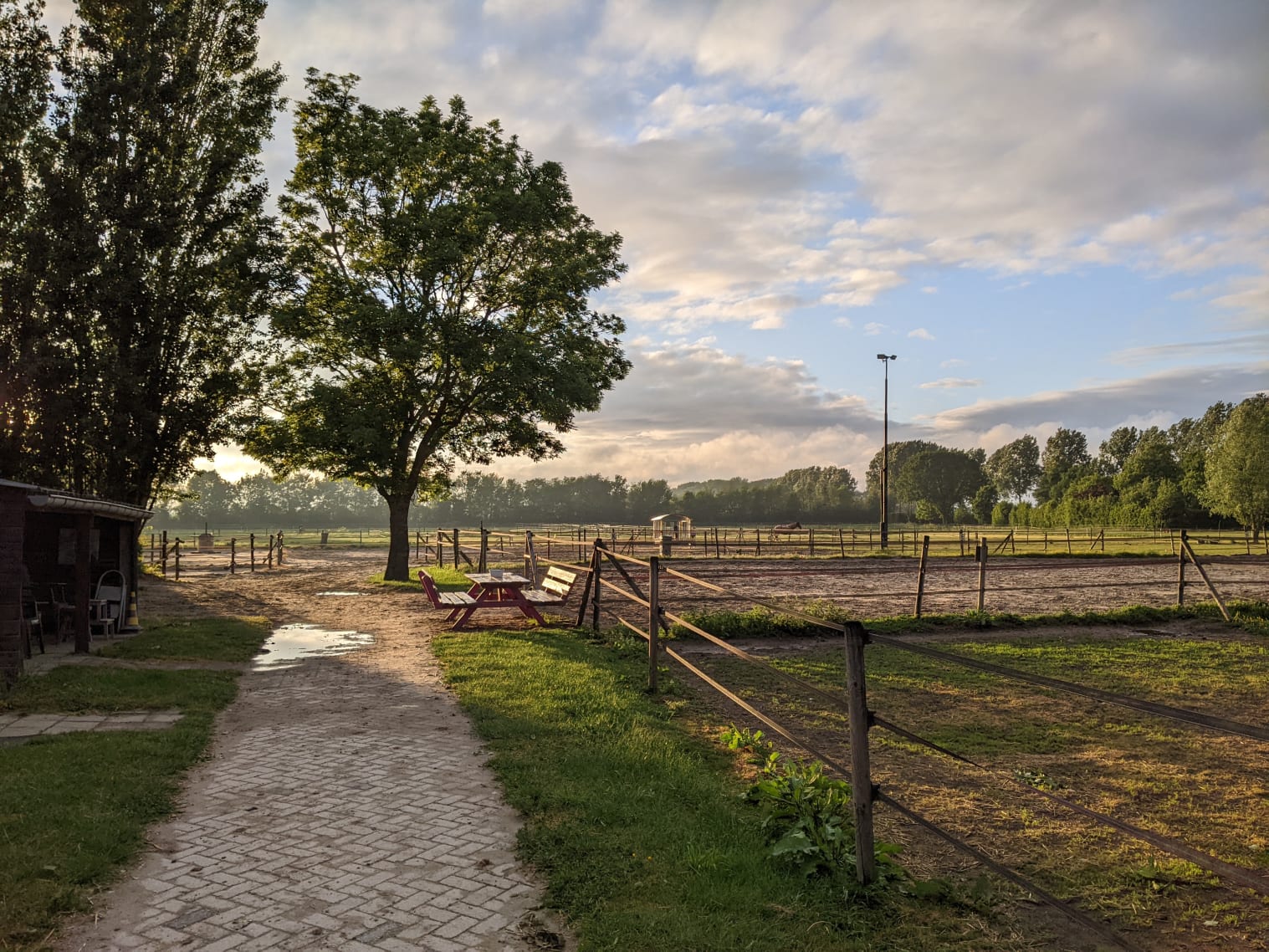 Foto van de rijbak met daar achter de weiden