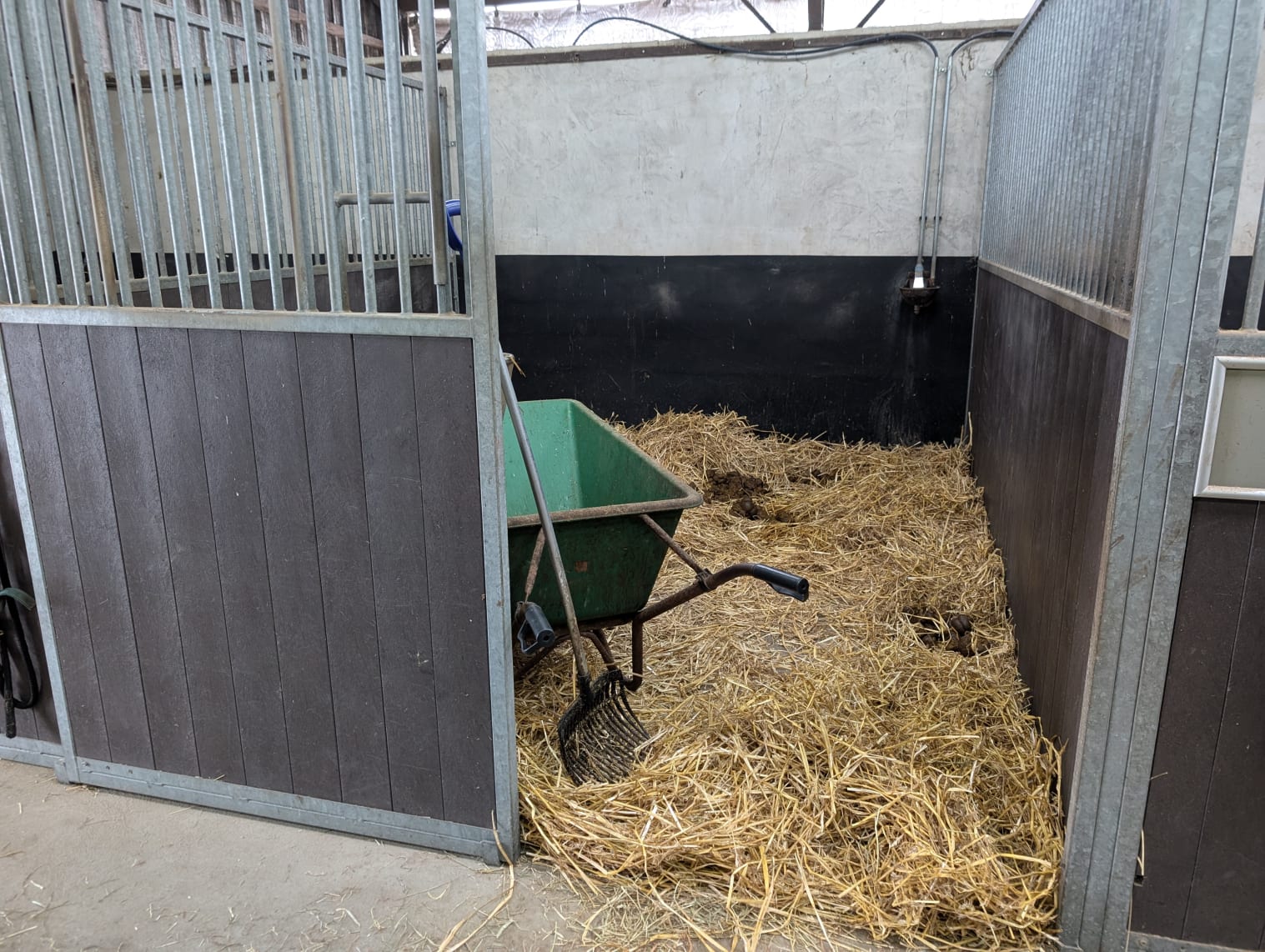 Foto van een stal die wordt uitgemest