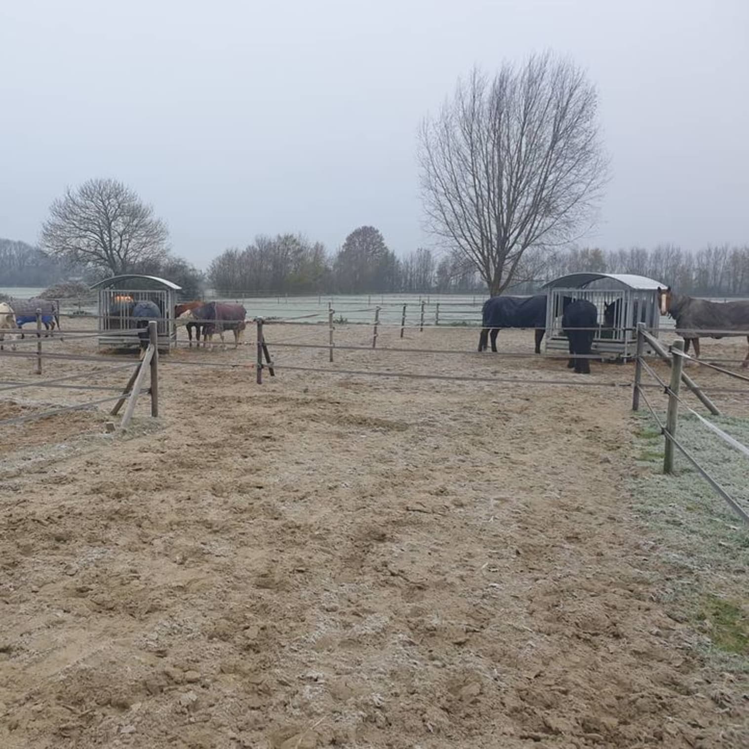 Afbeelding van Facebook post