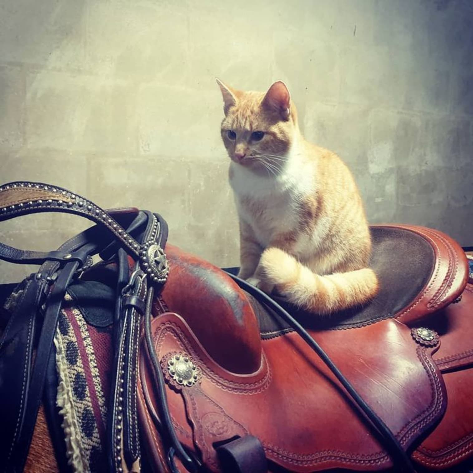 Afbeelding van Facebook post