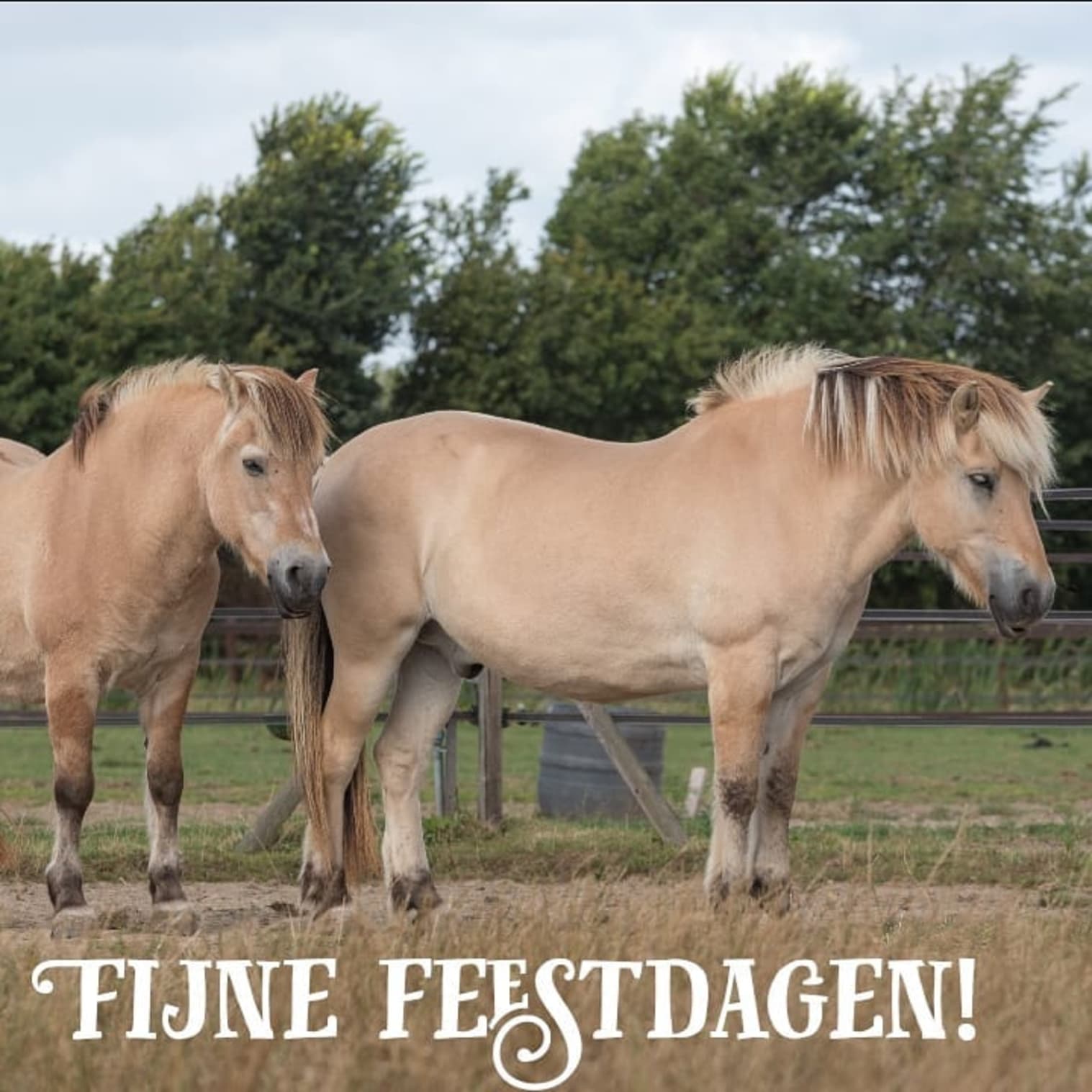 Afbeelding van Facebook post