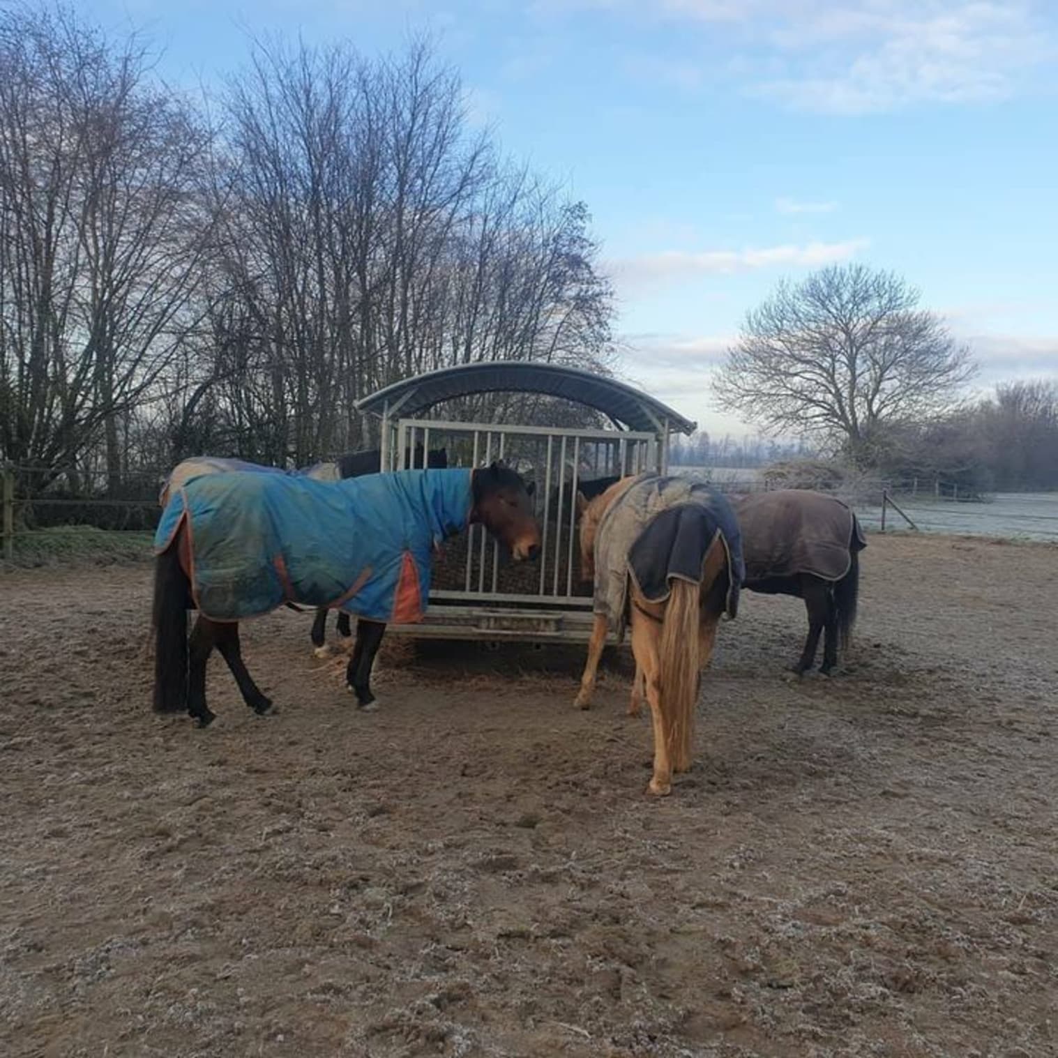 Afbeelding van Facebook post