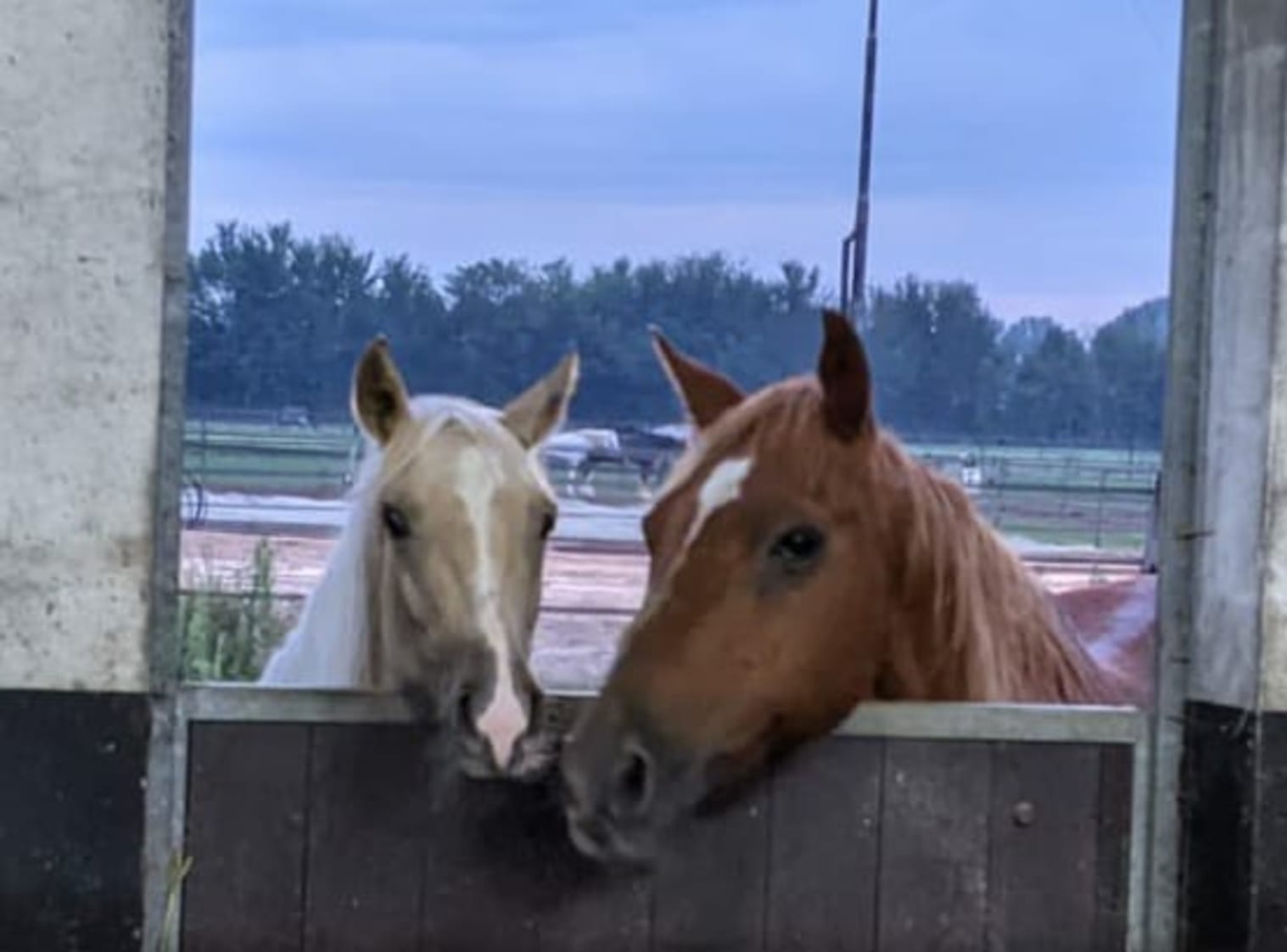 Afbeelding van Facebook post