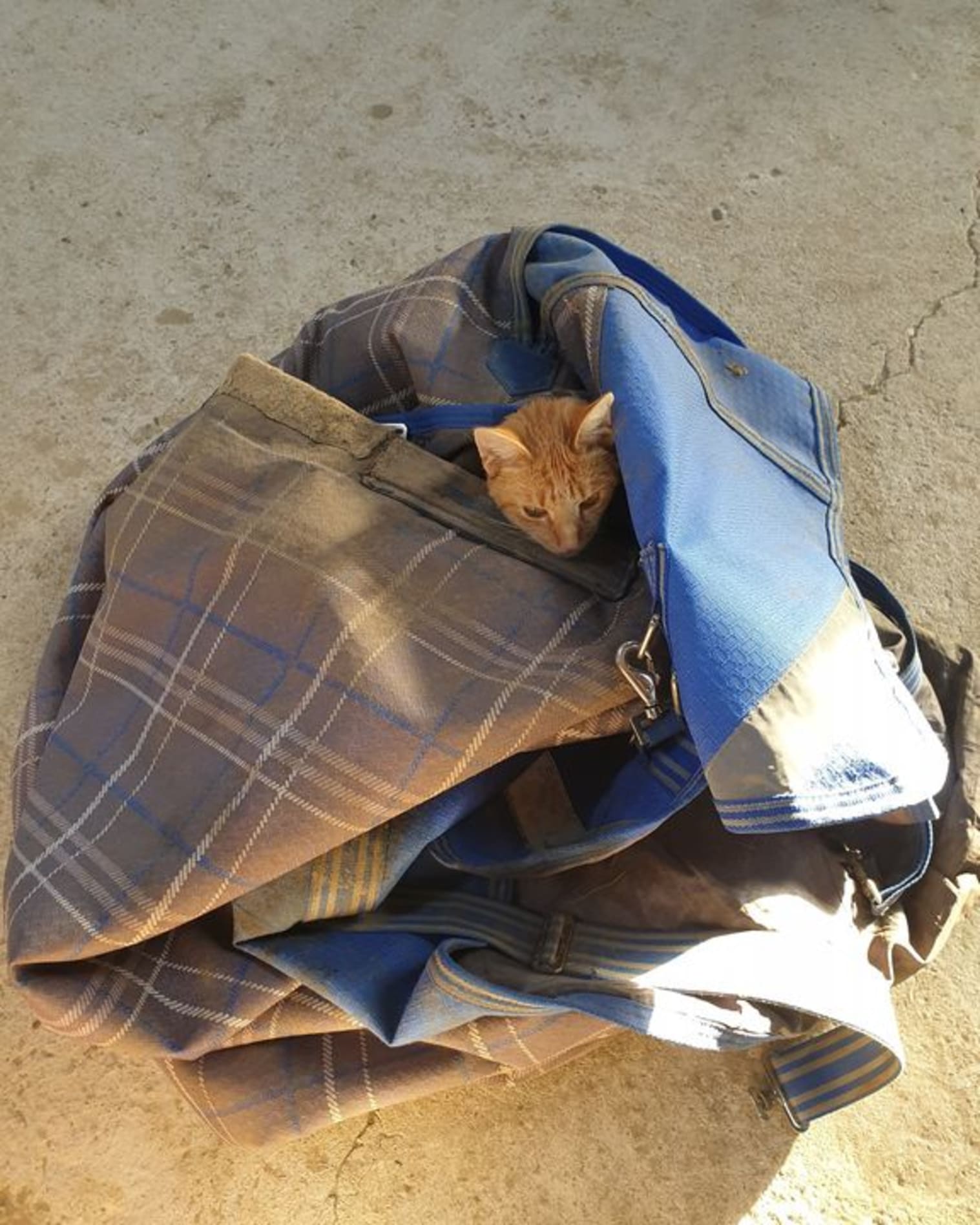 Afbeelding van Facebook post