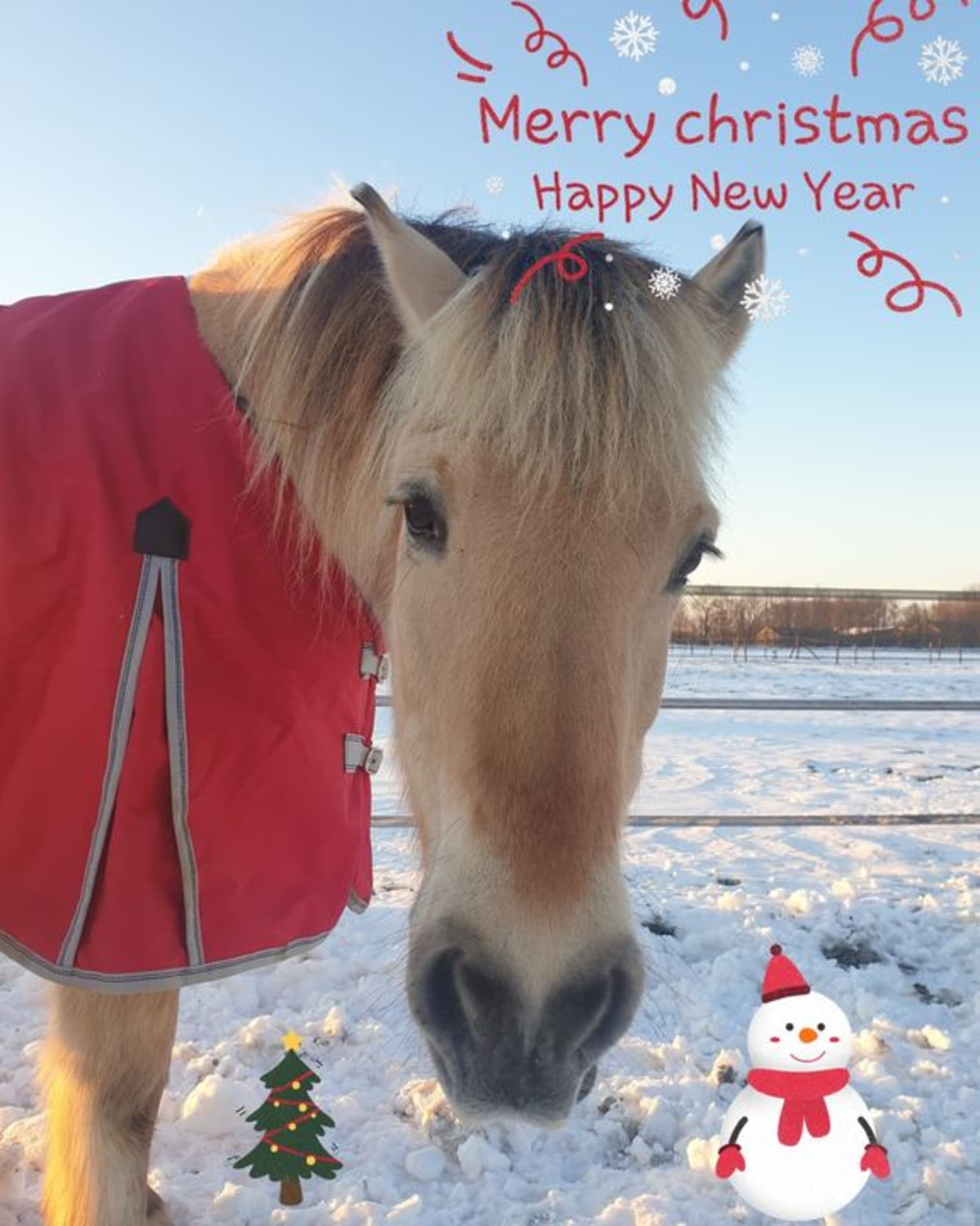 Afbeelding van Facebook post