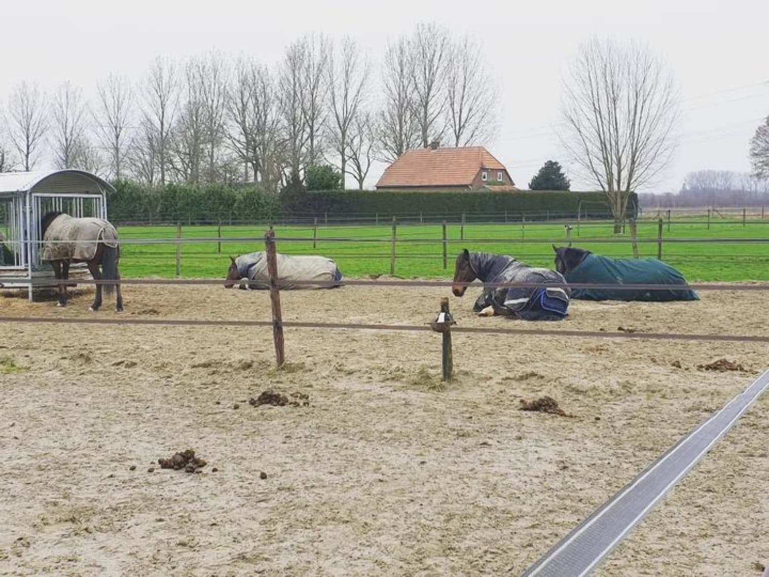 Afbeelding van Facebook post