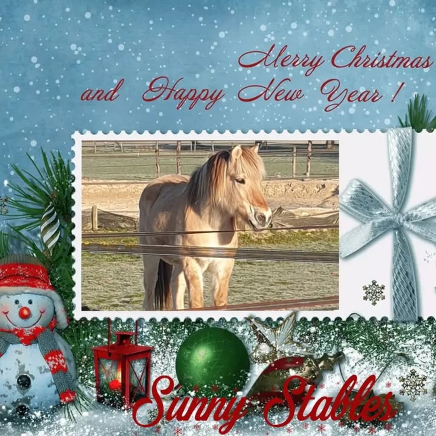 Afbeelding van Facebook post