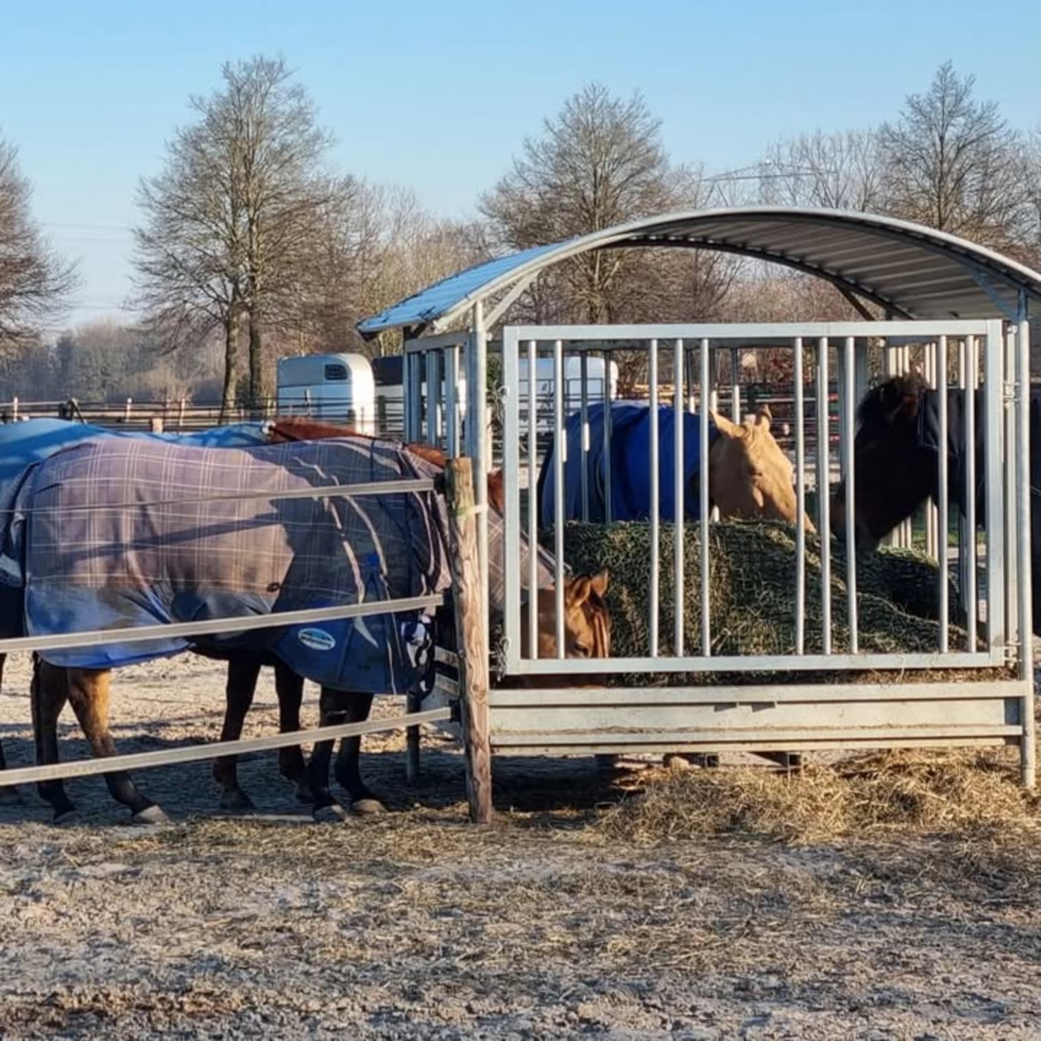 Afbeelding van Facebook post