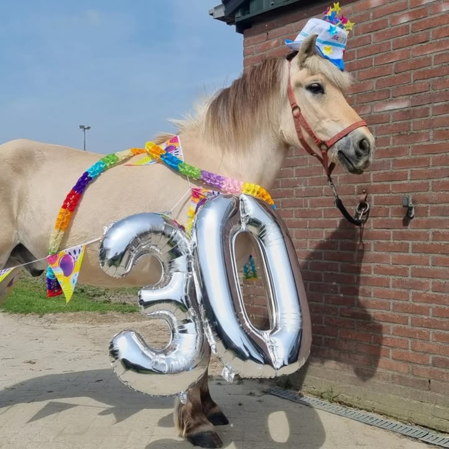 Afbeelding van Facebook post