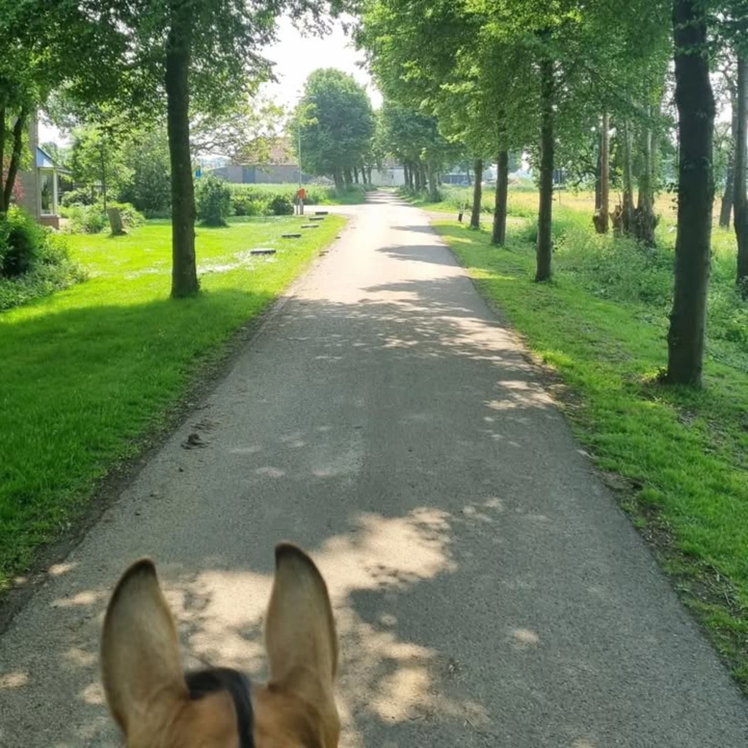 Afbeelding van Facebook post