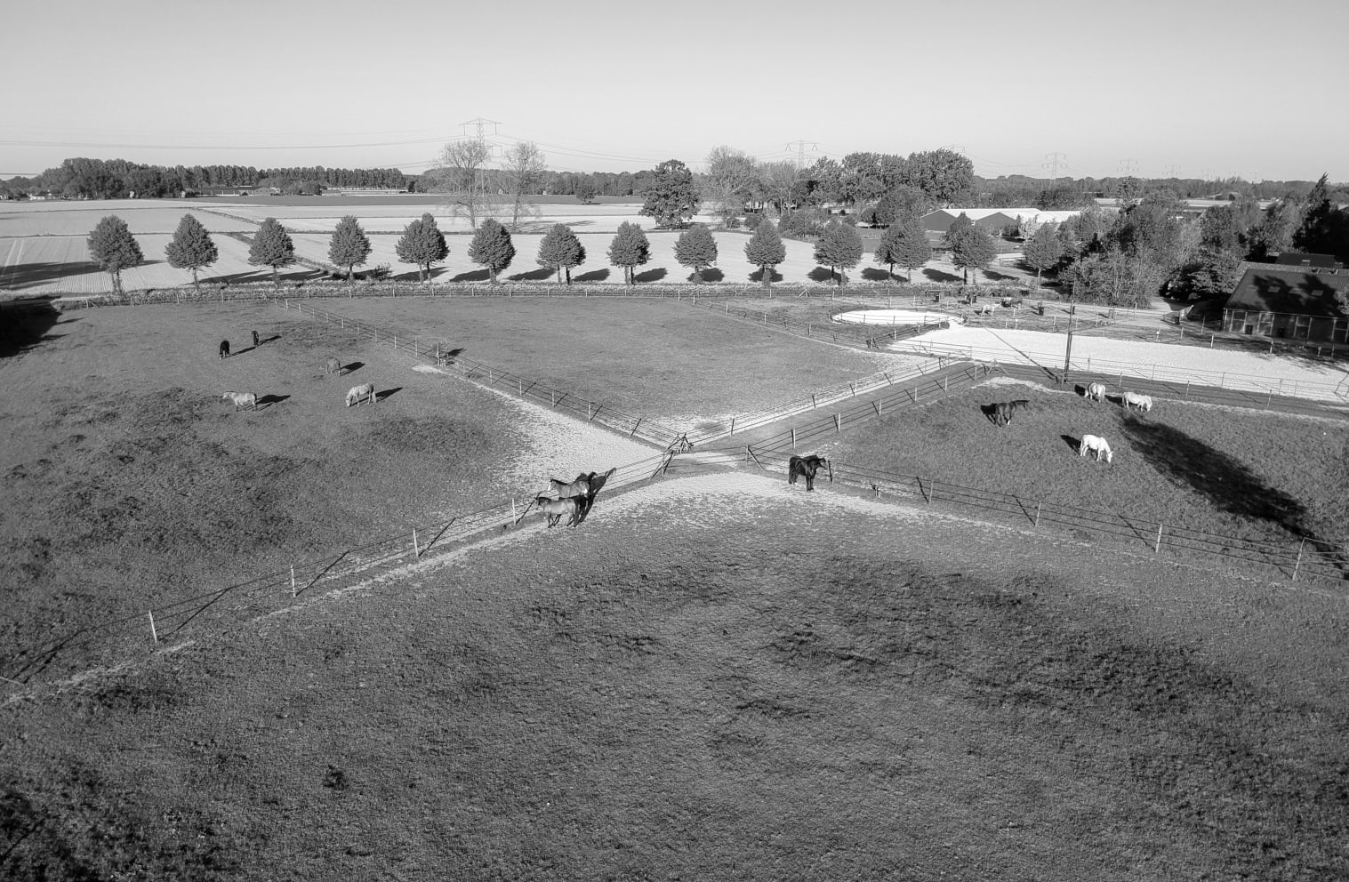Zwartwit drone foto van de weiden