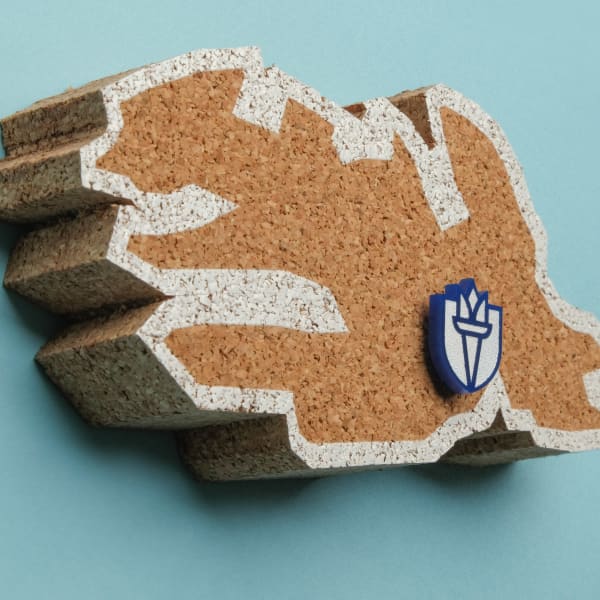 Close-up of cork map detail showing layered edge profile and pin inserted into country shape on blue background.