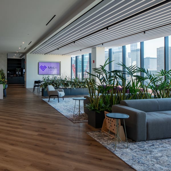 Modern lobby features digital screen displaying the MoLo logo with cityscape view beyond.