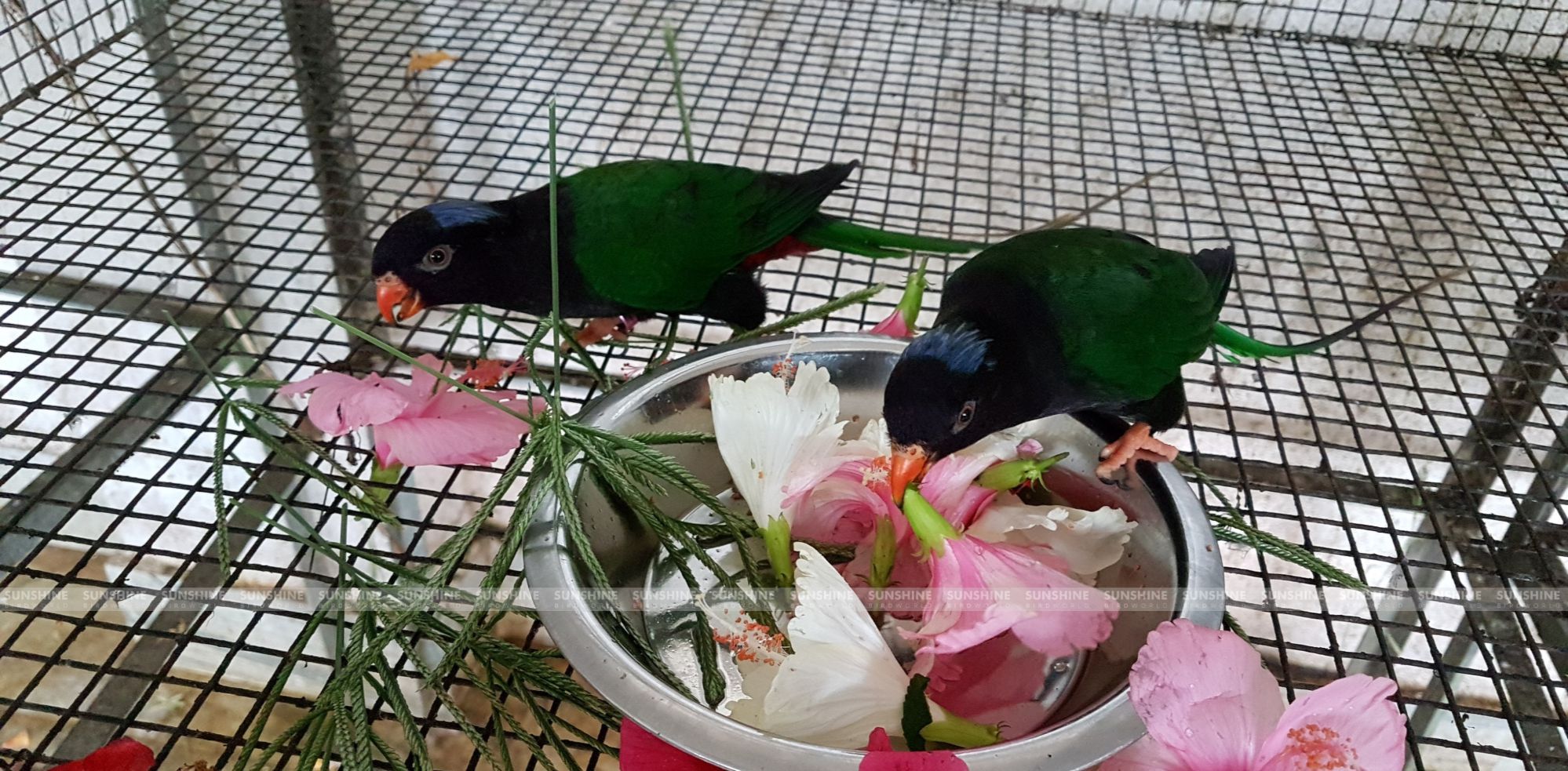 20170827_085005.jpg