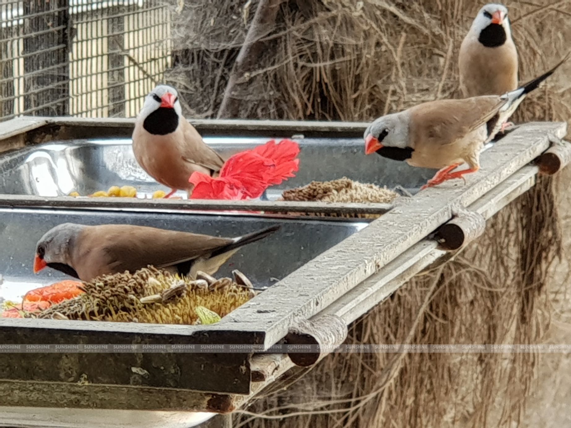 20180323_094231.jpg