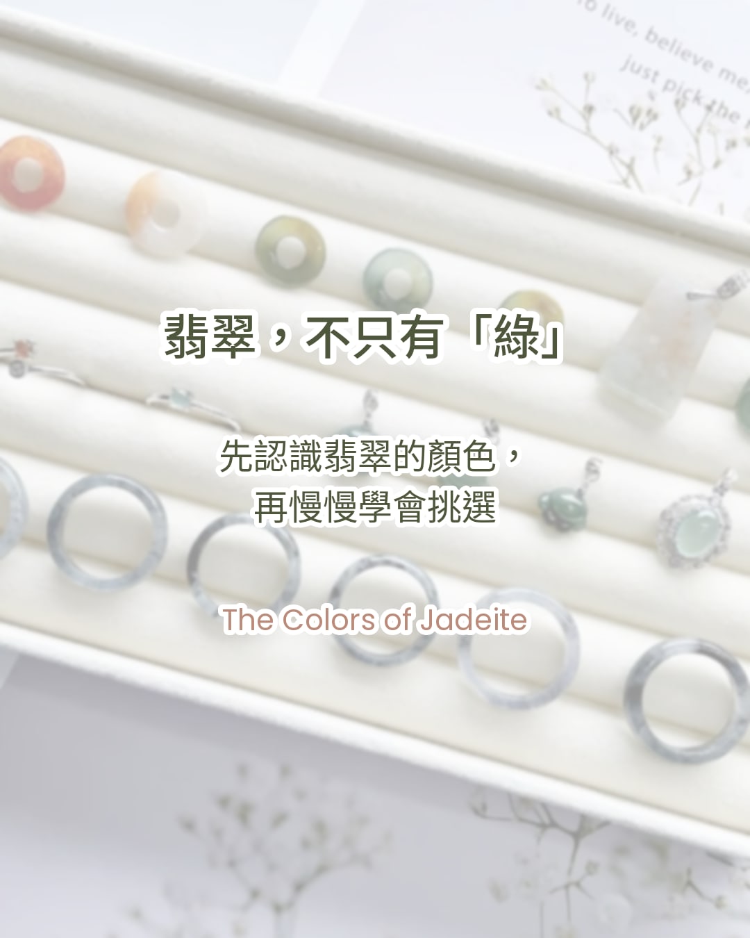 翡翠有哪些顏色？新手看懂翡翠顏色的入門指南