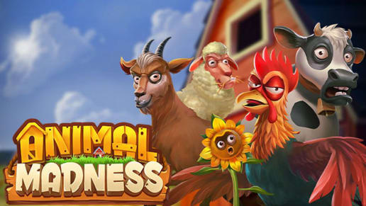 Animal Madness