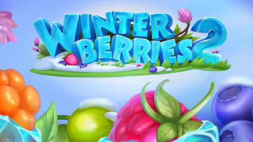 Winterberries 2