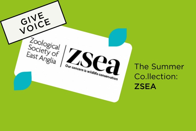 Celebrating The Zoological Society of East Anglia (ZSEA) 