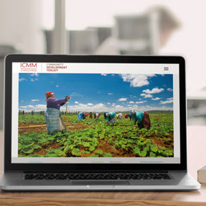 Microsite vs Multisite – which one is which?