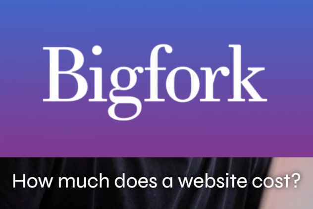 How much does a website cost?