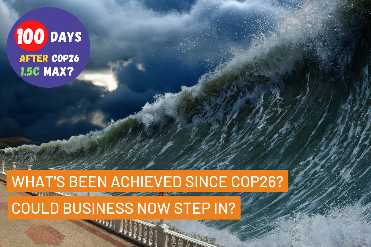 100 Days After COP26 
