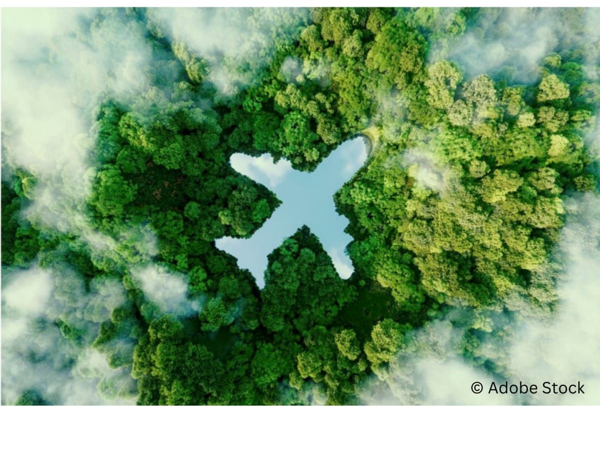 Are You Flying Greener?