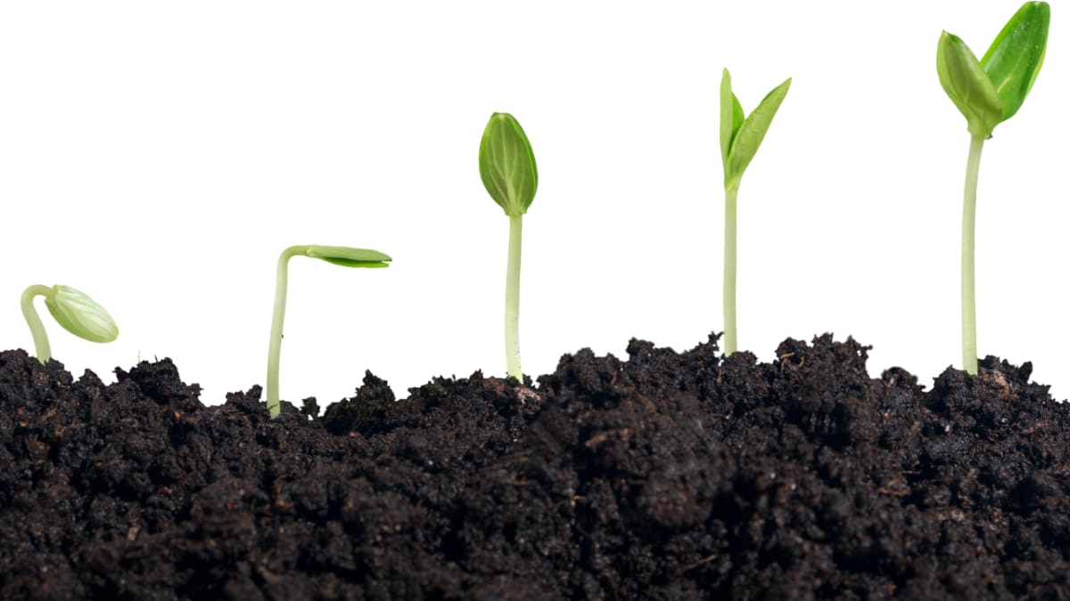 RESTART Festival | Gateway to Growth 