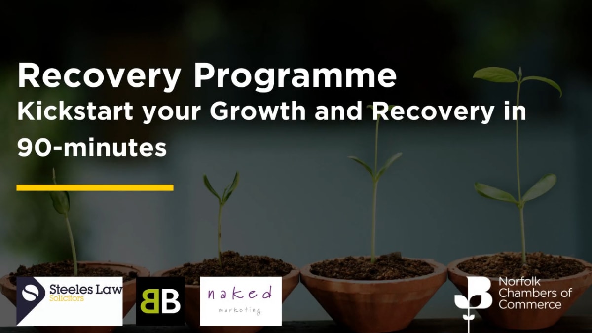 Recovery Programme  - Kickstart your Growth and Recovery in 90-minutes 
