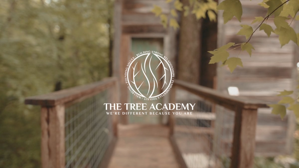 The Tree Academy - Re-emergence