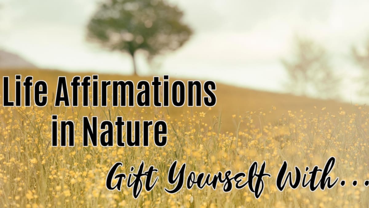 🌳 Gift Yourself With...
