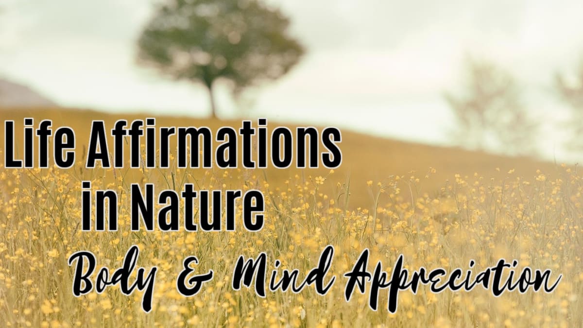 🌳 Body & Mind Appreciation