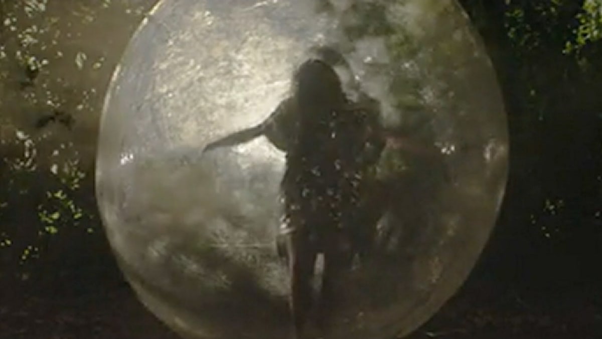 Propeller Seeds (Sparks Music Video)