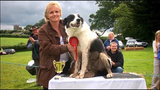 Mist Sheepdog Tales - Season 2 - Trial & Error