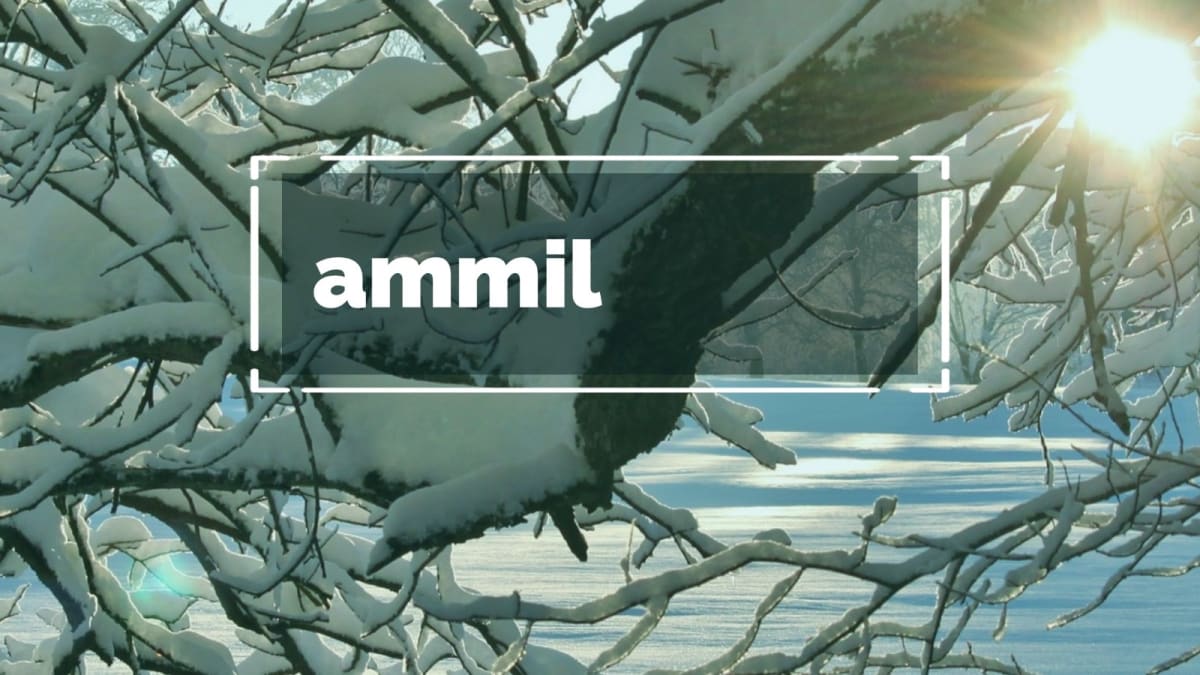Ammil