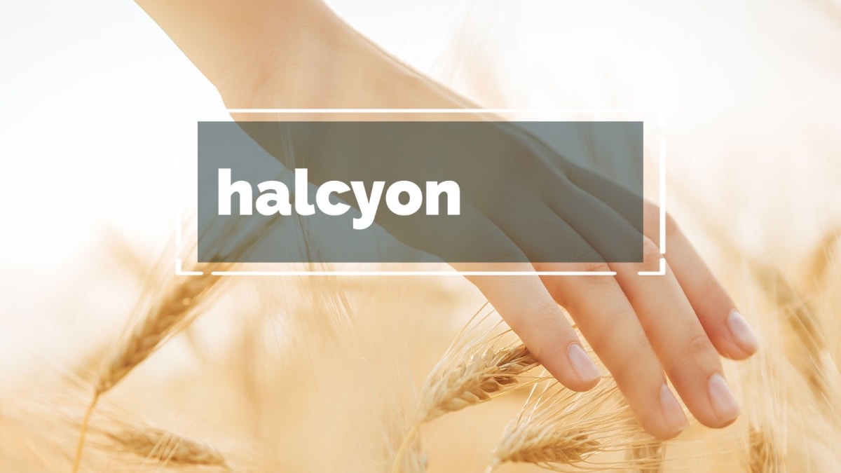 Halcyon