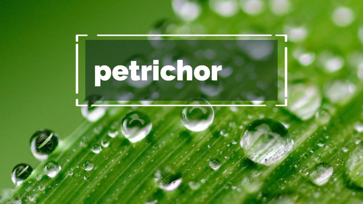 Petrichor