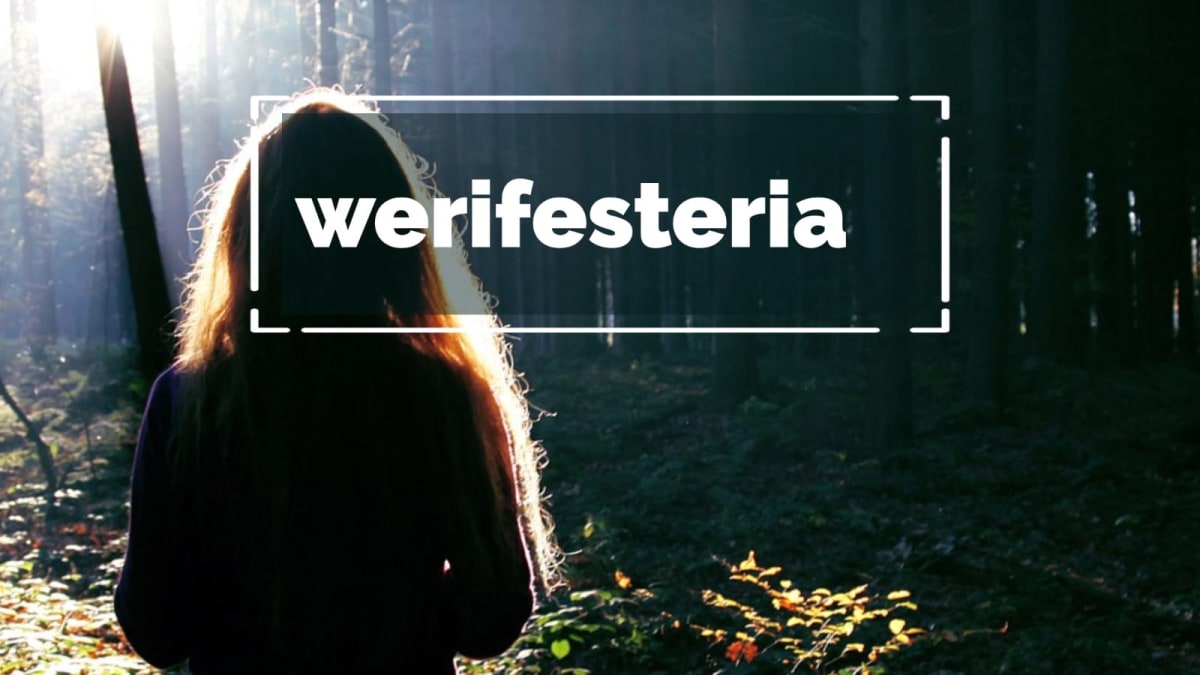  Werifesteria