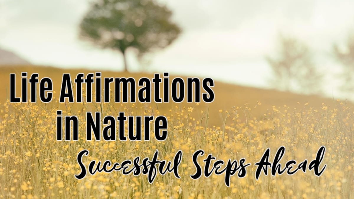 🌳 Successful Steps Ahead